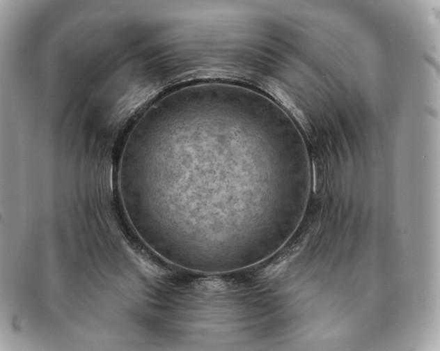 X0000091290253200708171352