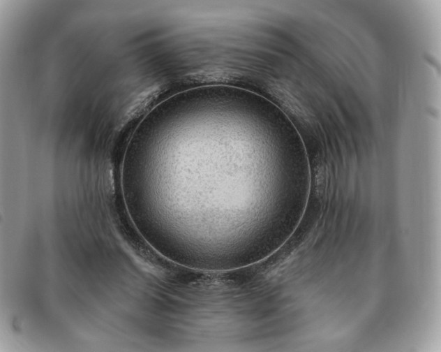 X0000091290254200708171352