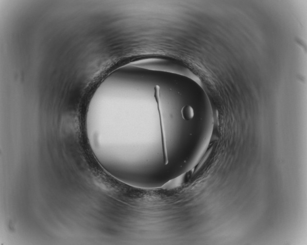 X0000091290256200708171352