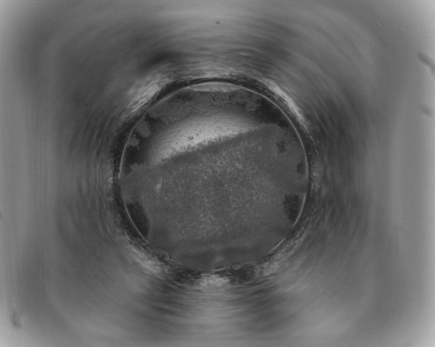 X0000091290257200708171352