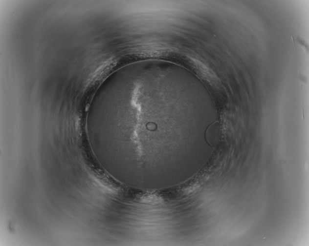 X0000091290258200708171352