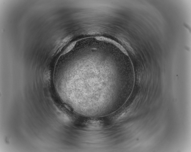 X0000091290260200708171352