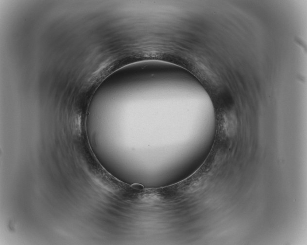 X0000091290262200708171352