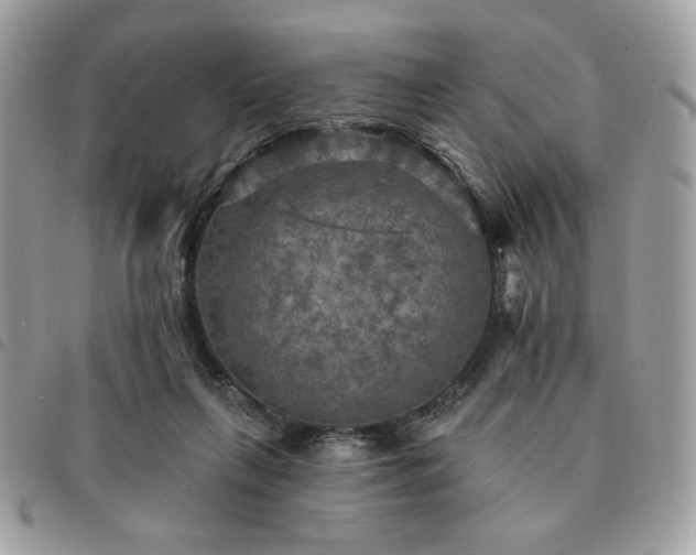 X0000091290263200708171352