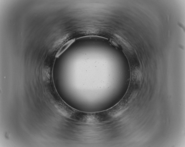 X0000091290264200708171352