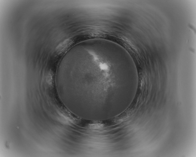 X0000091290266200708171352