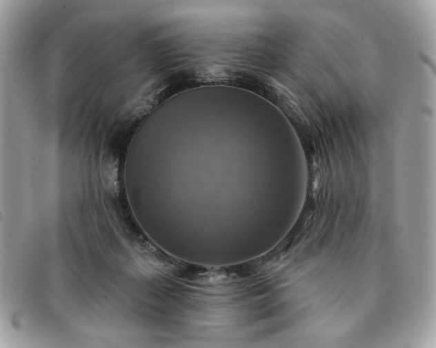 X0000091290267200708171352