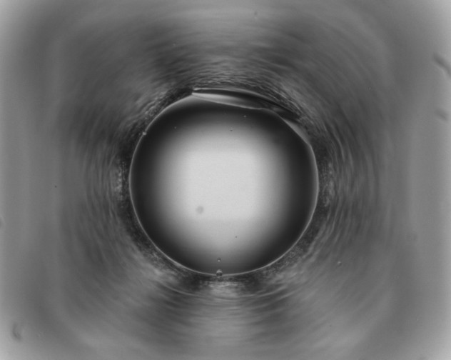 X0000091290268200708171352