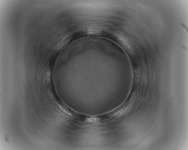 X0000091290269200708171352