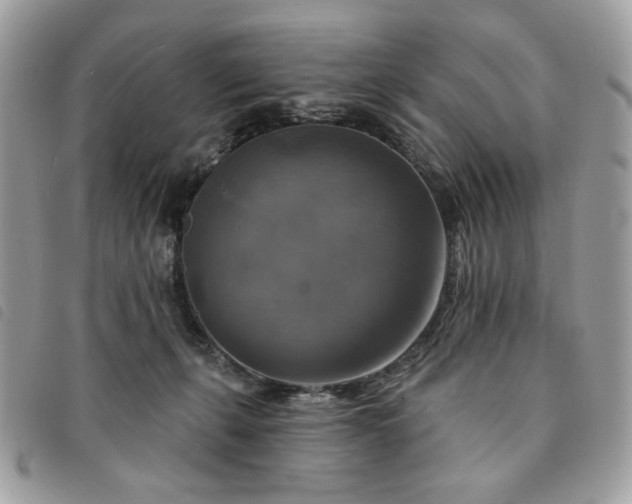 X0000091290271200708171352