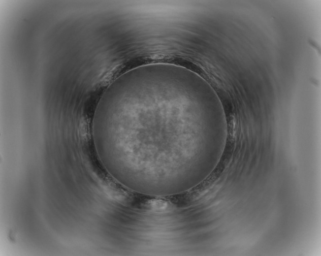 X0000091290272200708171352