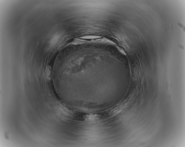 X0000091290273200708171352