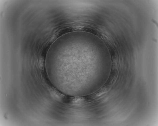 X0000091290274200708171352