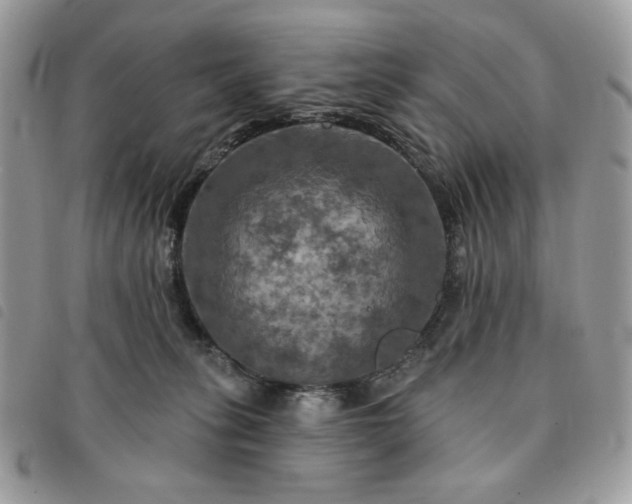 X0000091290275200708171352