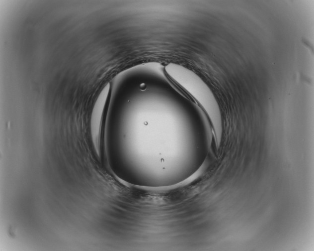 X0000091290276200708171352