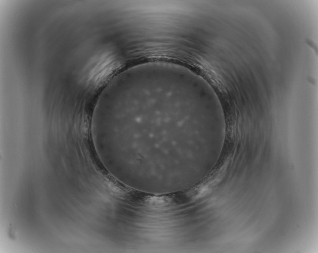 X0000091290277200708171352