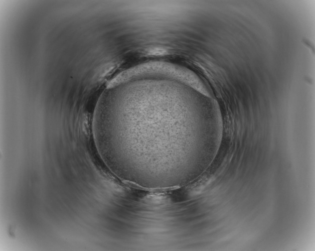 X0000091290280200708171352