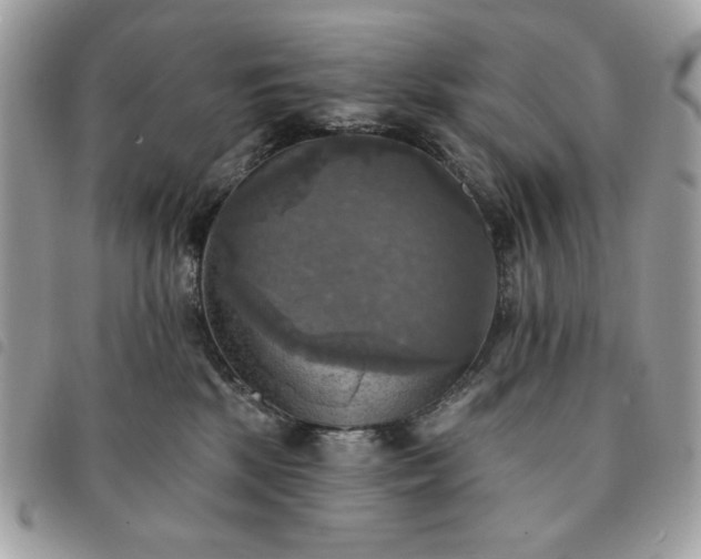 X0000091290281200708171352