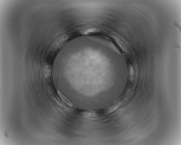 X0000091290284200708171352