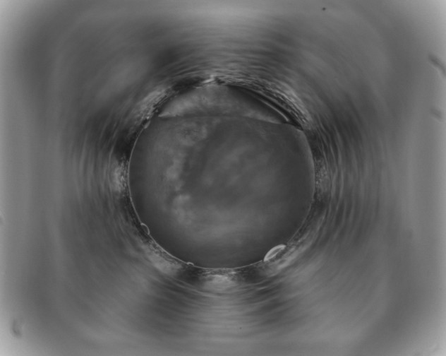 X0000091290285200708171352