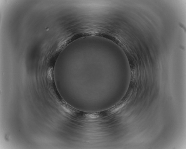 X0000091290286200708171352