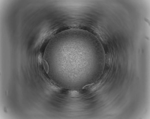 X0000091290287200708171352