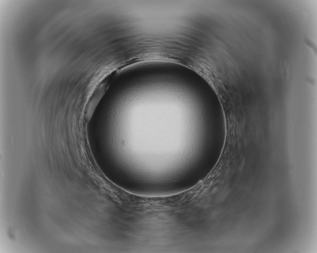 X0000091290289200708171352