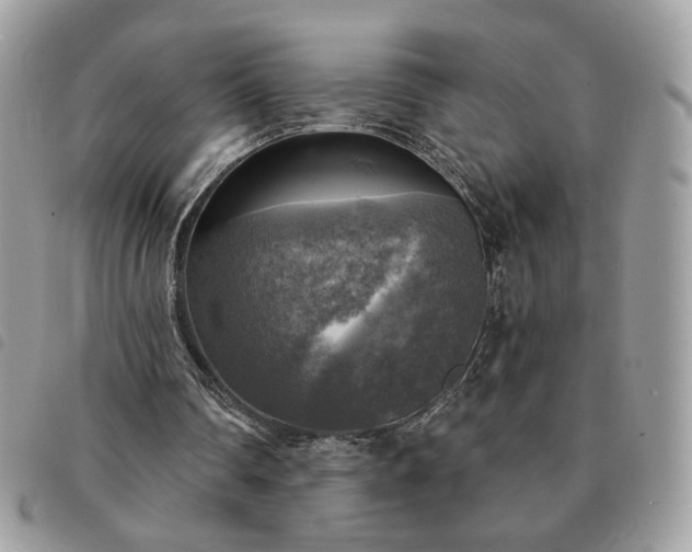 X0000091290290200708171352