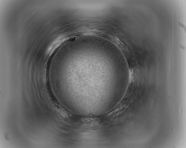 X0000091290291200708171352