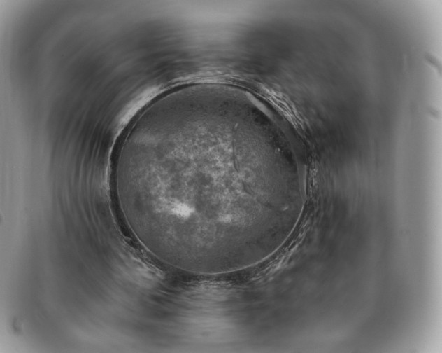 X0000091290292200708171352