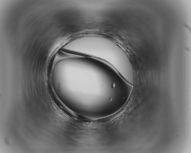 X0000091290293200708171352