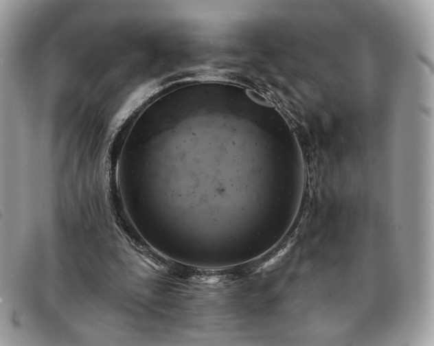 X0000091290295200708171352