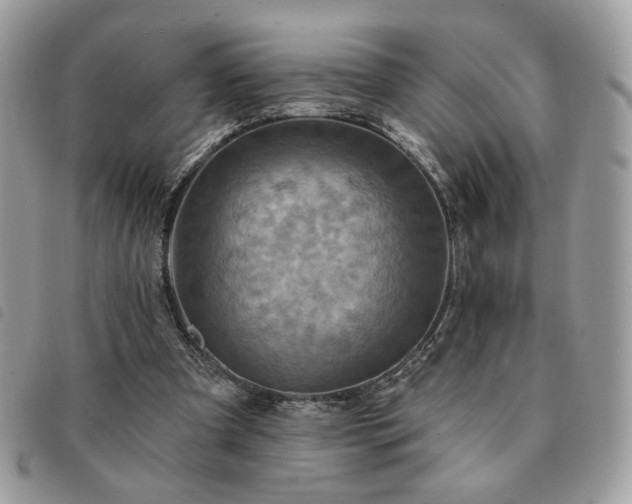 X0000091290297200708171352