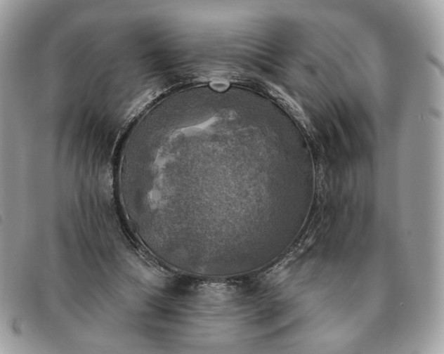 X0000091290298200708171352