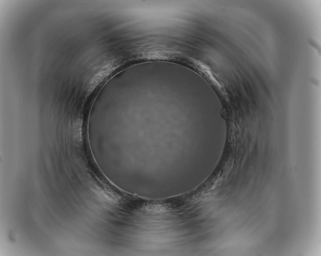 X0000091290299200708171352