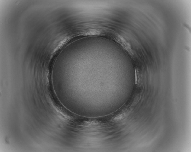 X0000091290300200708171352