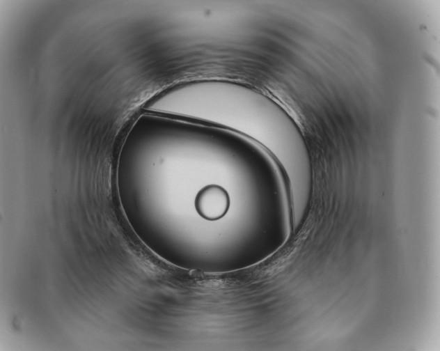 X0000091290301200708171352