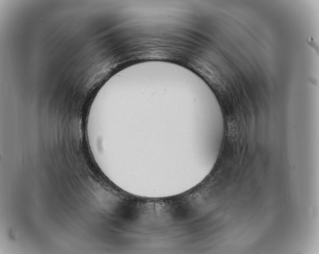 X0000091290302200708171351