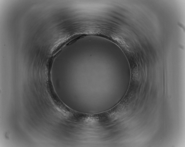 X0000091290303200708171351