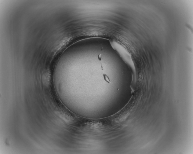 X0000091290304200708171351