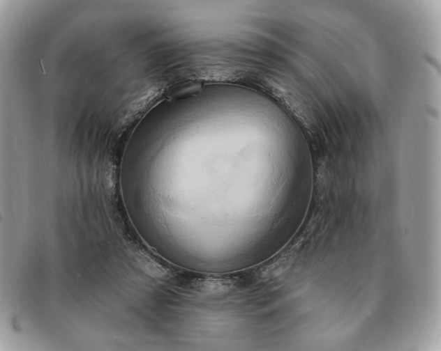 X0000091290305200708171351