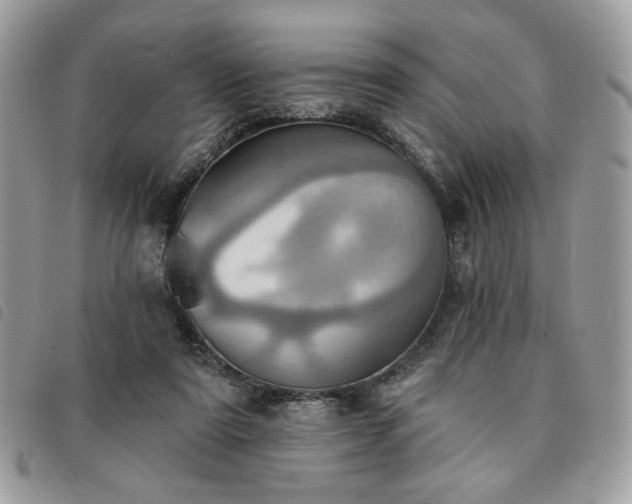 X0000091290307200708171351