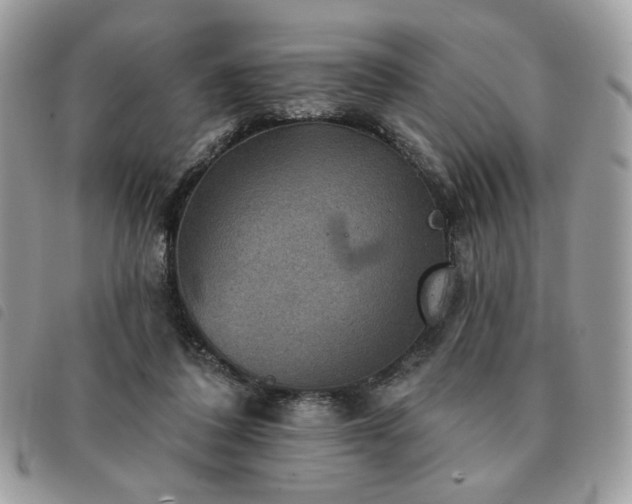 X0000091290308200708171351