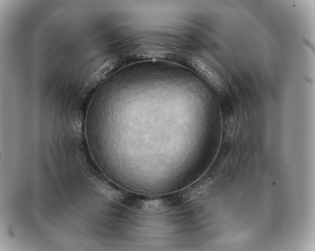 X0000091290309200708171351