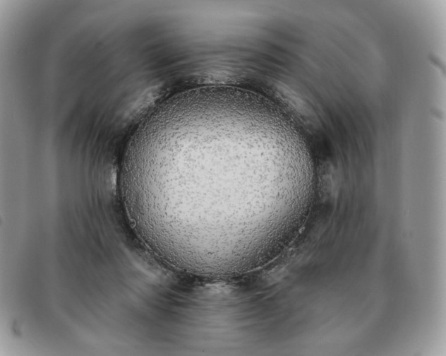 X0000091290310200708171351