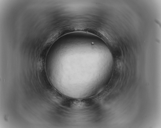 X0000091290311200708171351