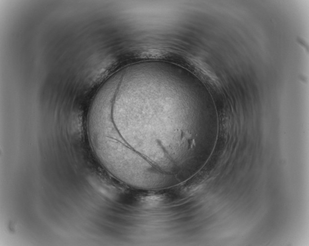 X0000091290312200708171351