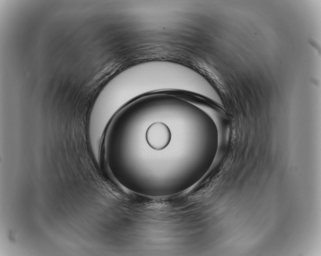 X0000091290313200708171351