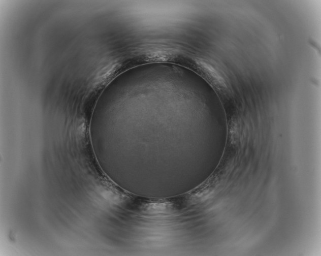 X0000091290314200708171351