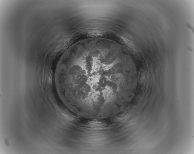 X0000091290315200708171351